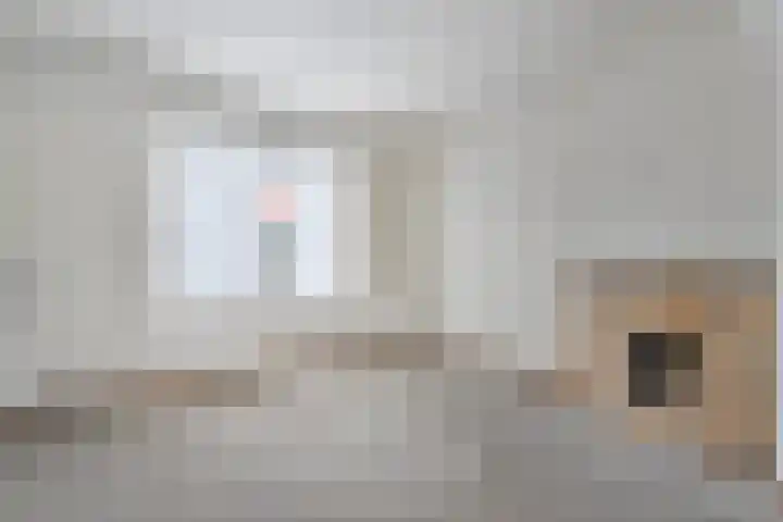 de Wieken 8 Raalte thumbnail 14
