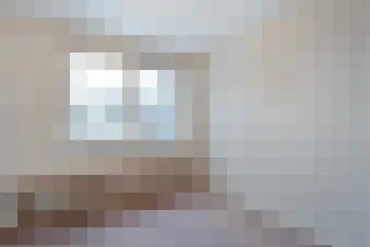 de Wieken 8 Raalte thumbnail 17