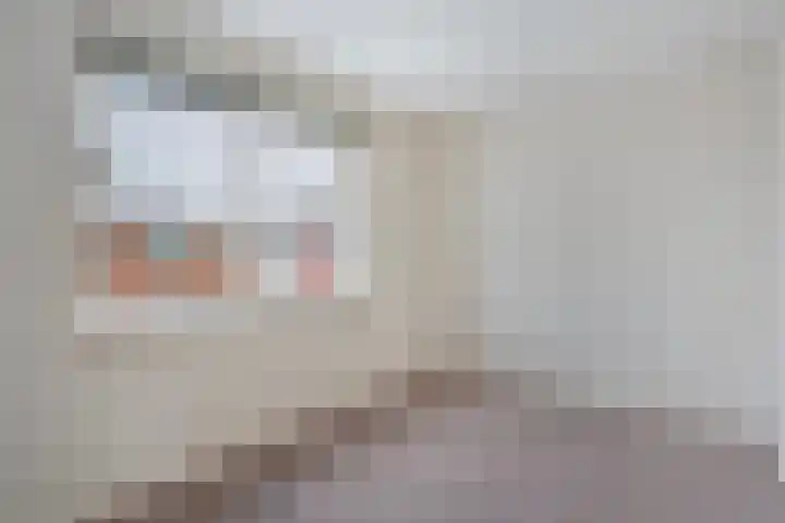 de Wieken 8 Raalte thumbnail 19