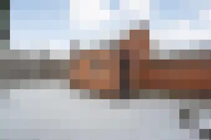 de Wieken 8 Raalte thumbnail 27