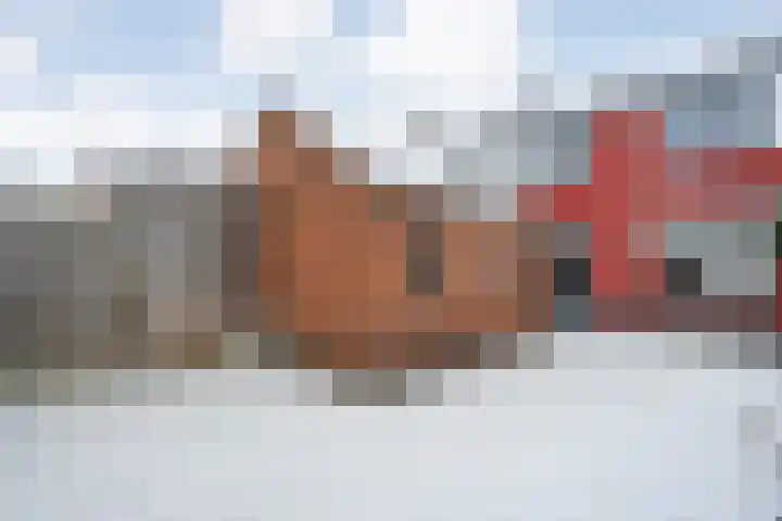 de Wieken 8 Raalte thumbnail 28
