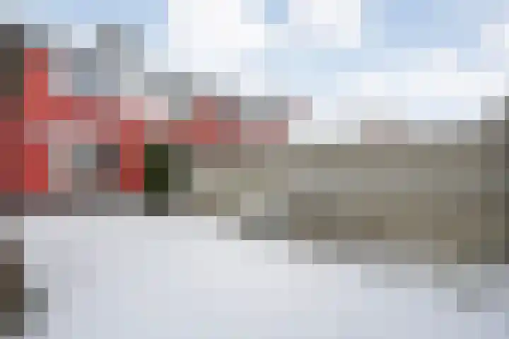 de Wieken 8 Raalte thumbnail 29