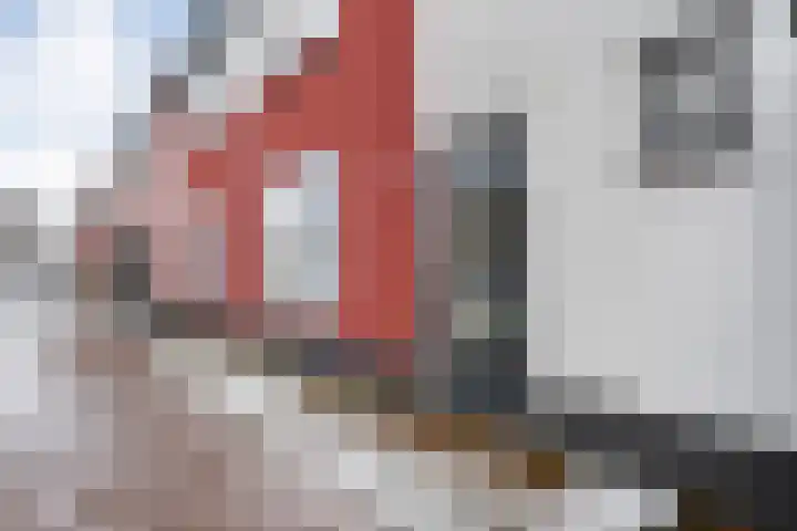 de Wieken 8 Raalte thumbnail 6