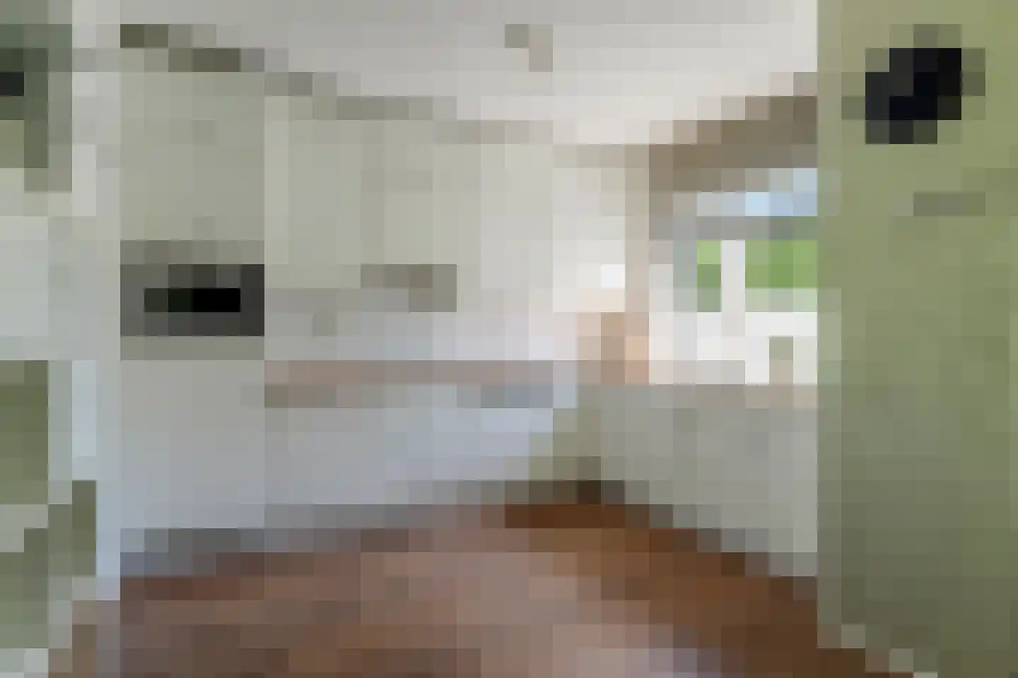 De Wieken 88 Hoorn thumbnail 11