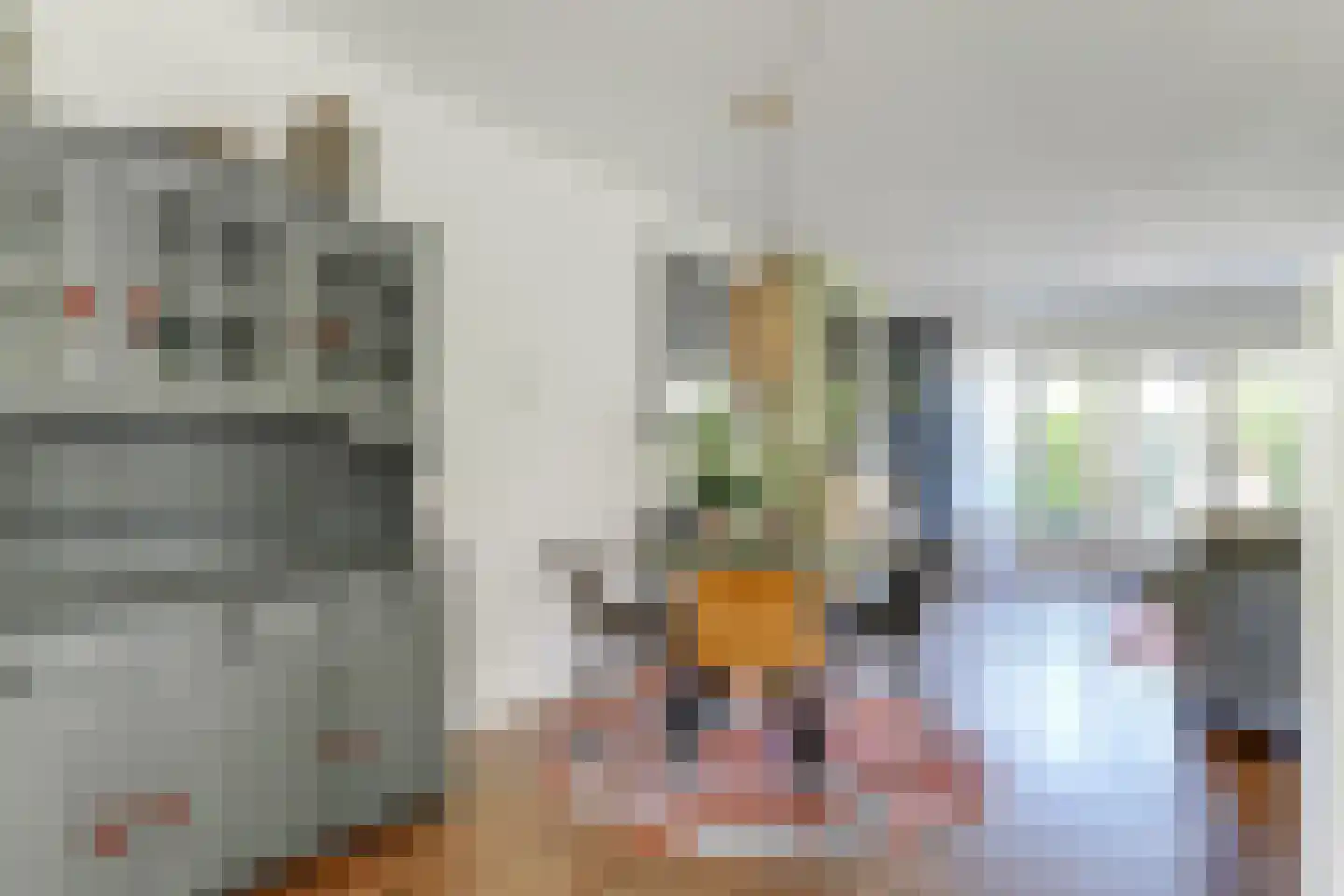 De Wieken 88 Hoorn thumbnail 13