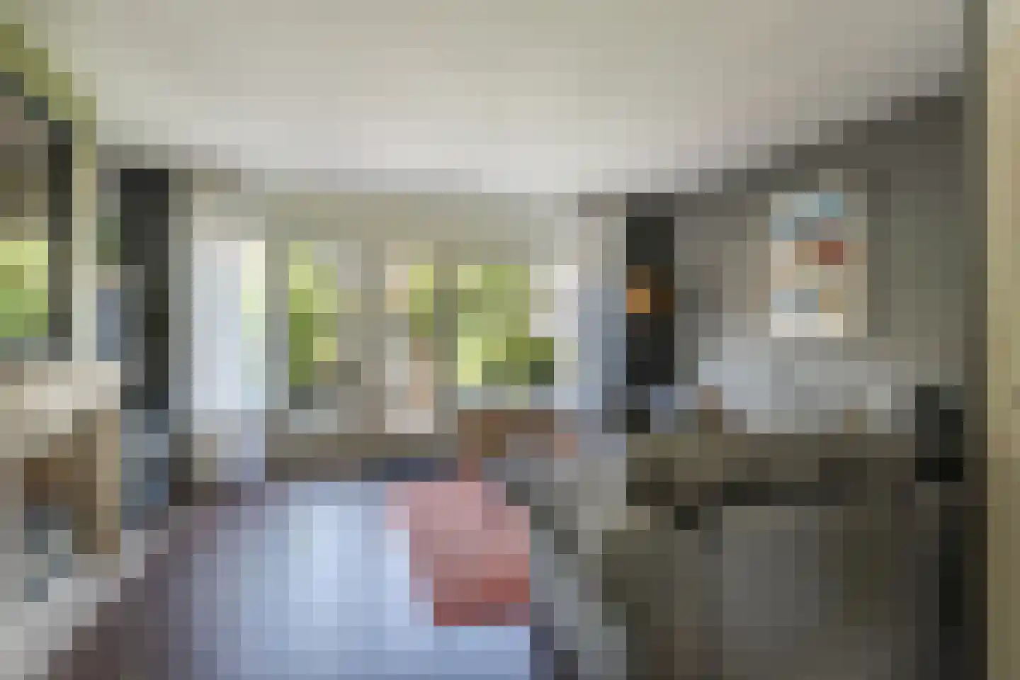 De Wieken 88 Hoorn thumbnail 15