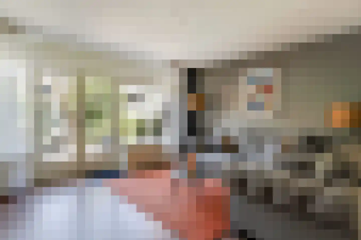 De Wieken 88 Hoorn thumbnail 16