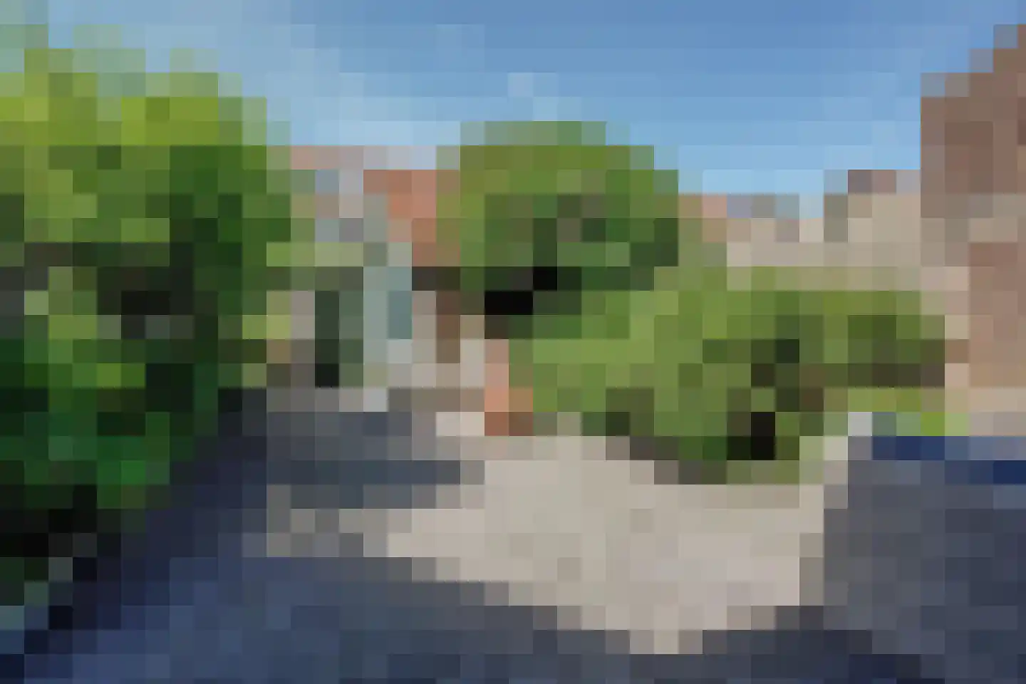 De Wieken 88 Hoorn thumbnail 22