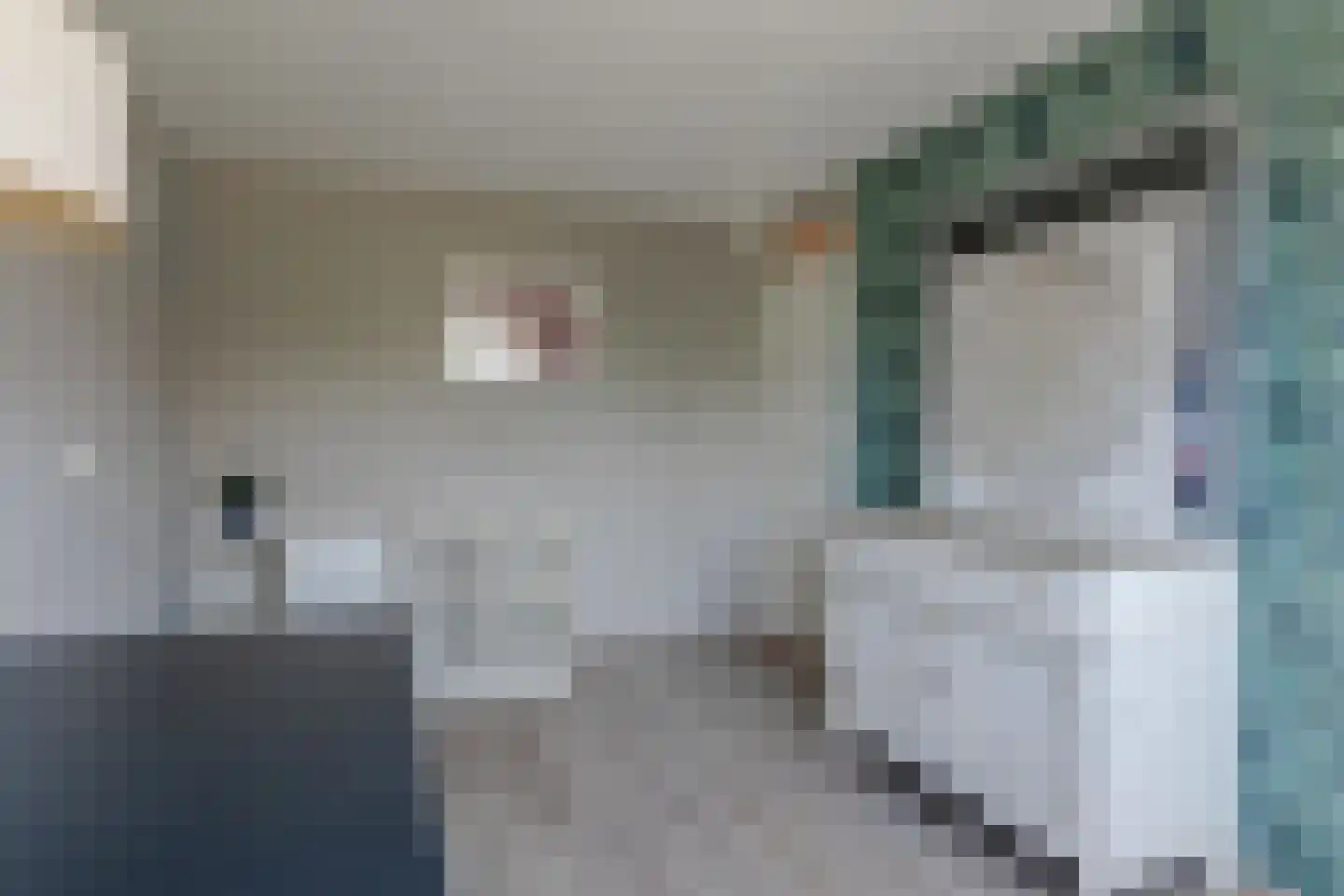 De Wieken 88 Hoorn thumbnail 30
