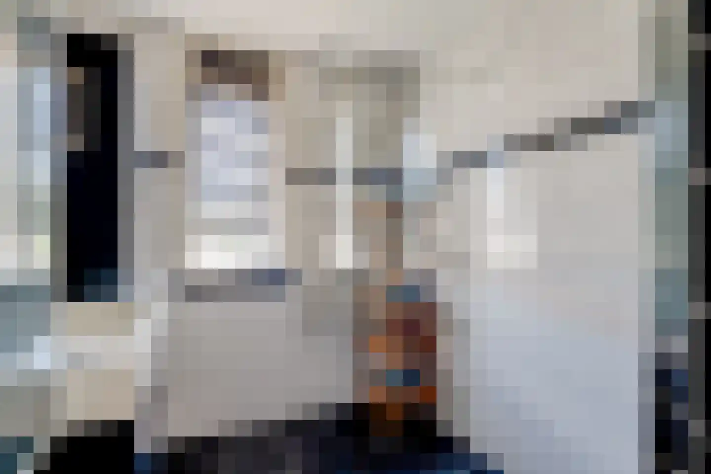 De Wieken 88 Hoorn thumbnail 36