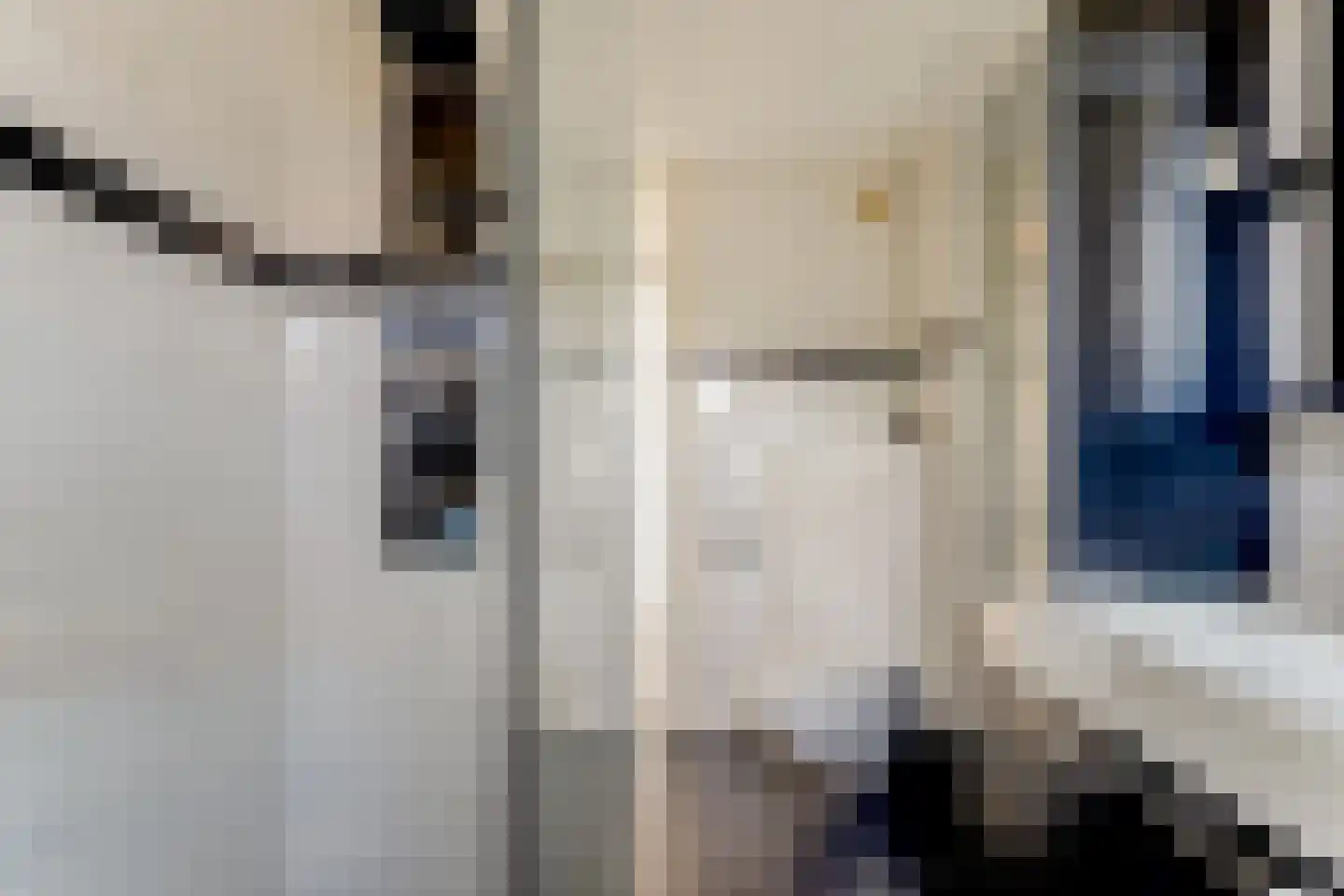 De Wieken 88 Hoorn thumbnail 37