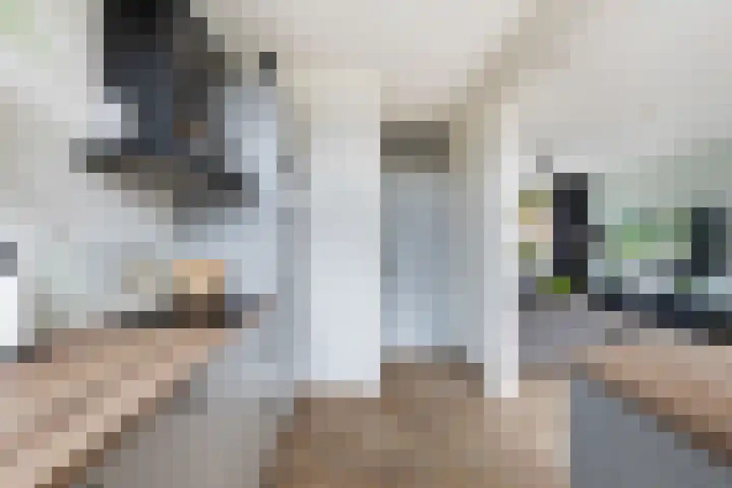 De Wieken 90 Zevenbergschen Hoek thumbnail 18