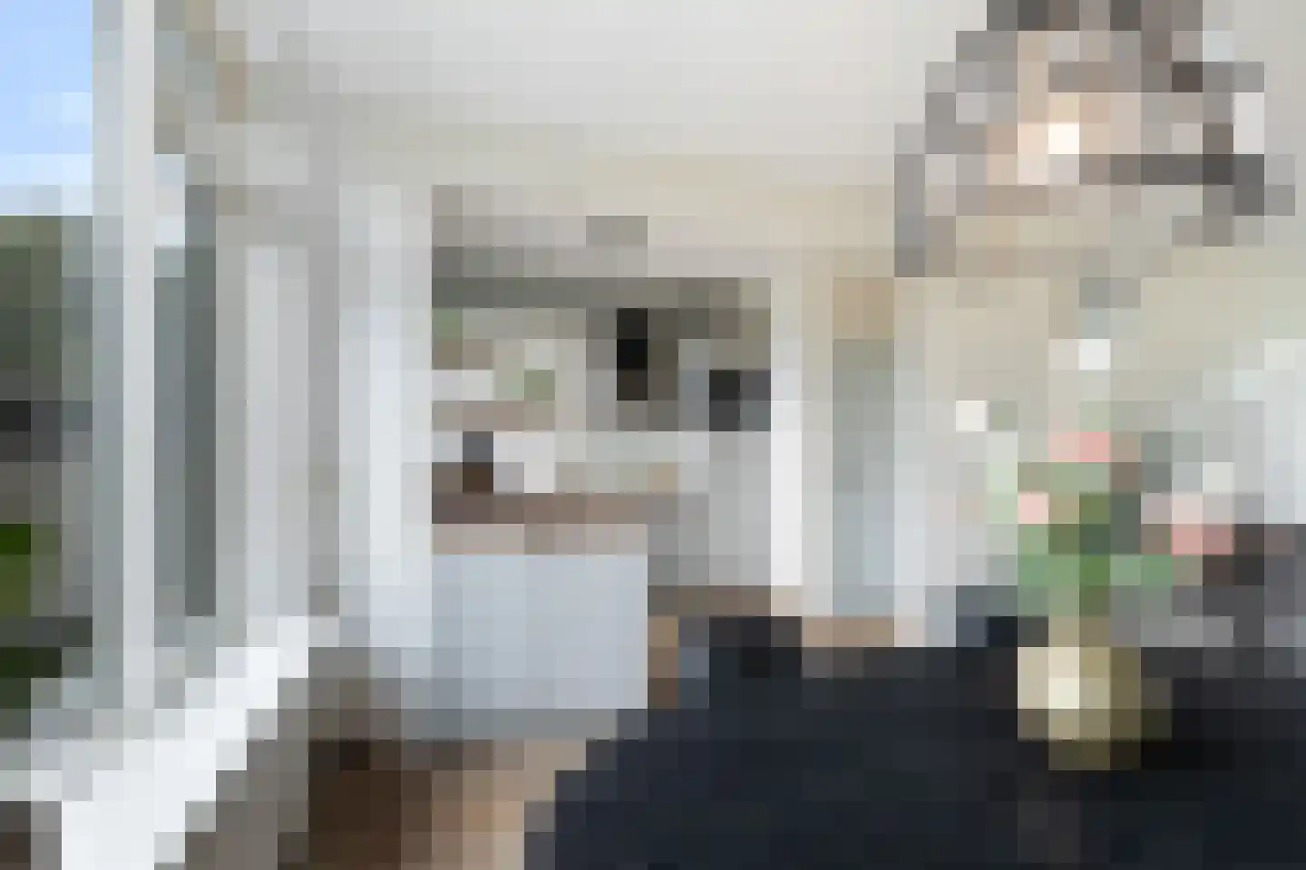 De Wieken 90 Zevenbergschen Hoek thumbnail 19