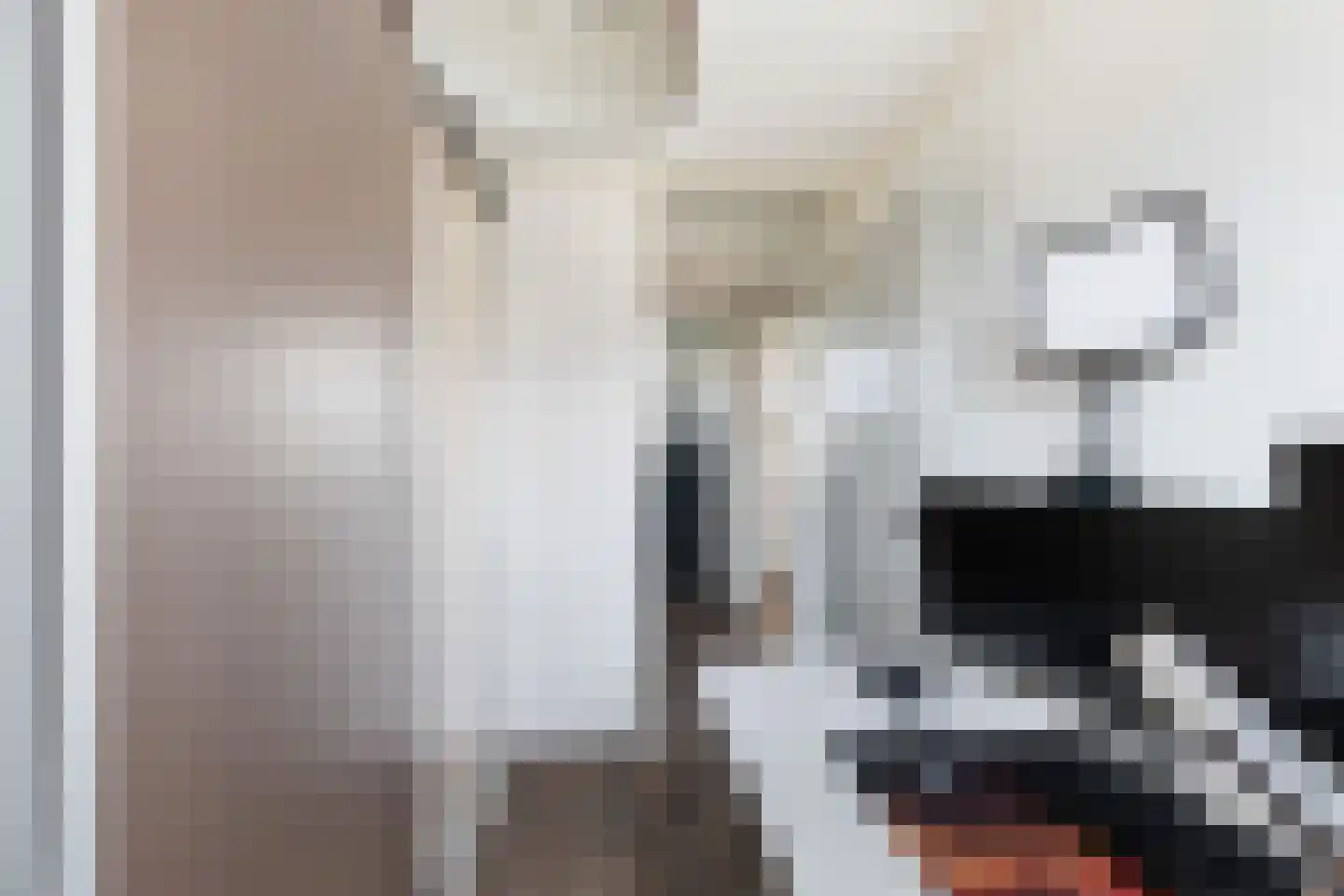 De Wieken 90 Zevenbergschen Hoek thumbnail 22