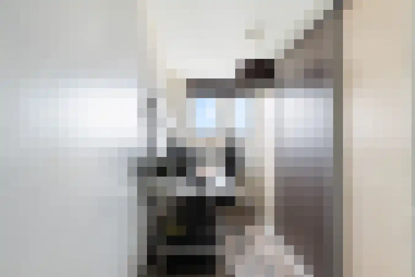 De Wieken 90 Zevenbergschen Hoek thumbnail 23