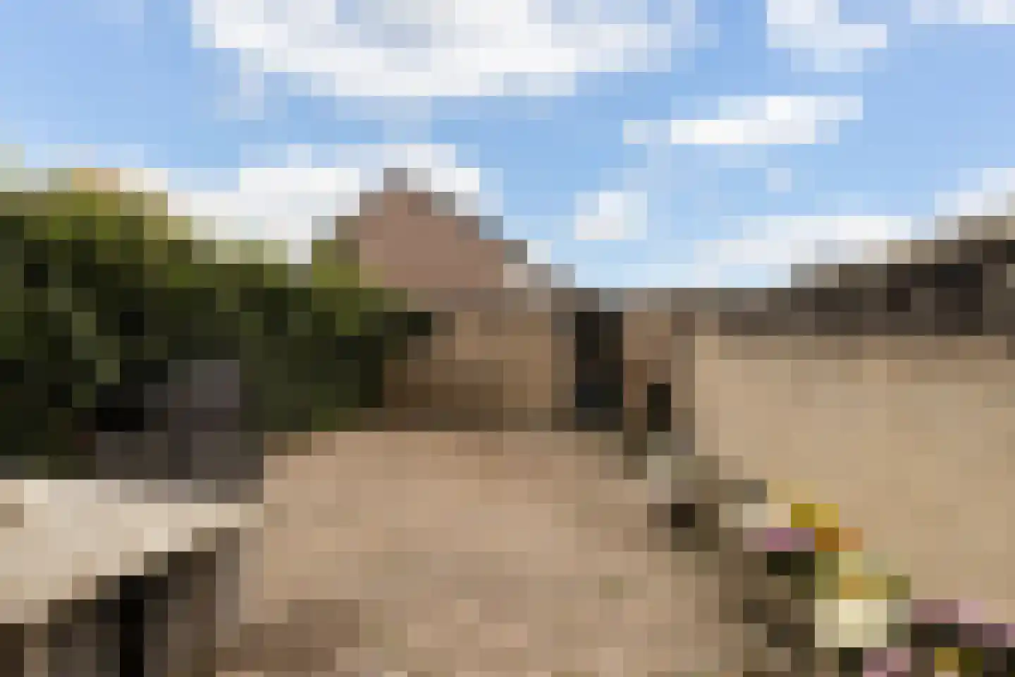 De Wieken 90 Zevenbergschen Hoek thumbnail 36