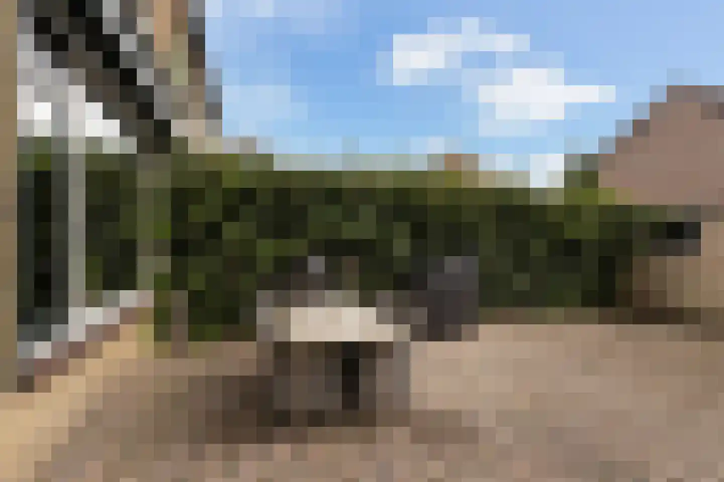 De Wieken 90 Zevenbergschen Hoek thumbnail 37