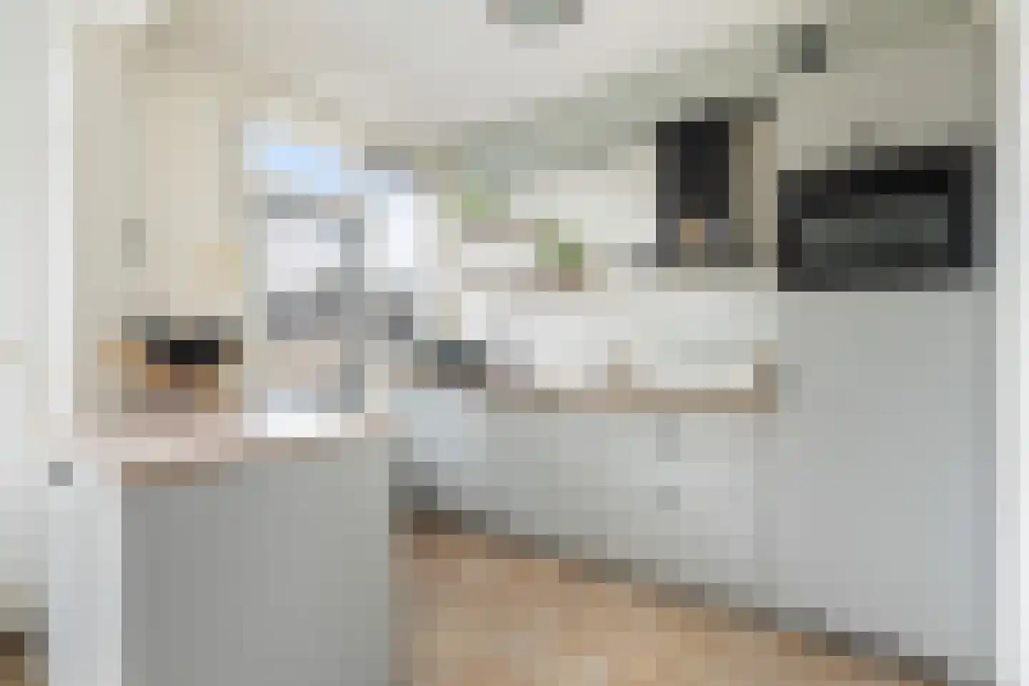 De Wieken 90 Zevenbergschen Hoek thumbnail 4