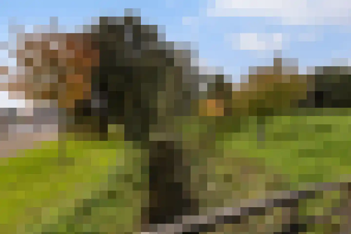 De Wieken 90 Zevenbergschen Hoek thumbnail 45