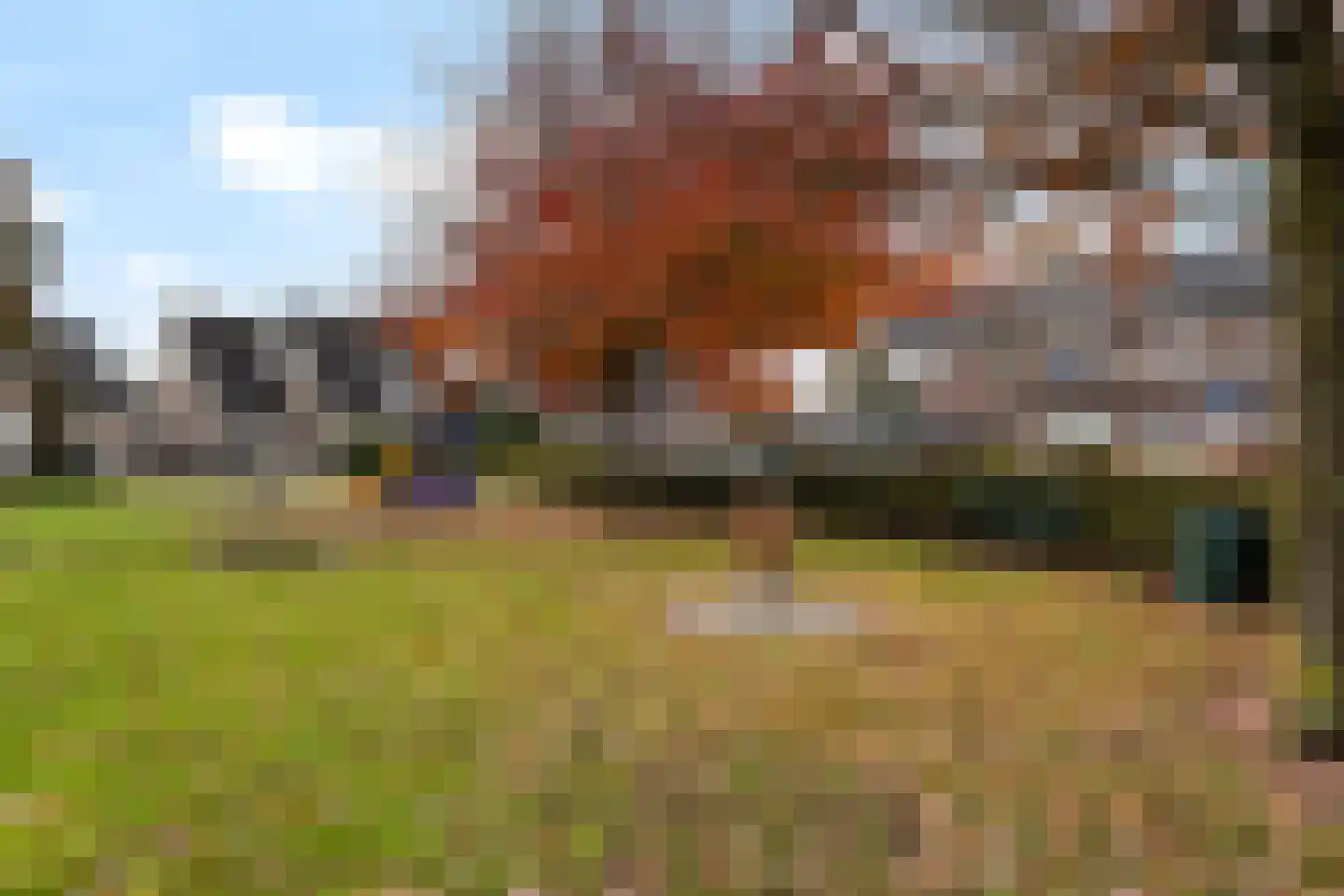 De Wieken 90 Zevenbergschen Hoek thumbnail 47