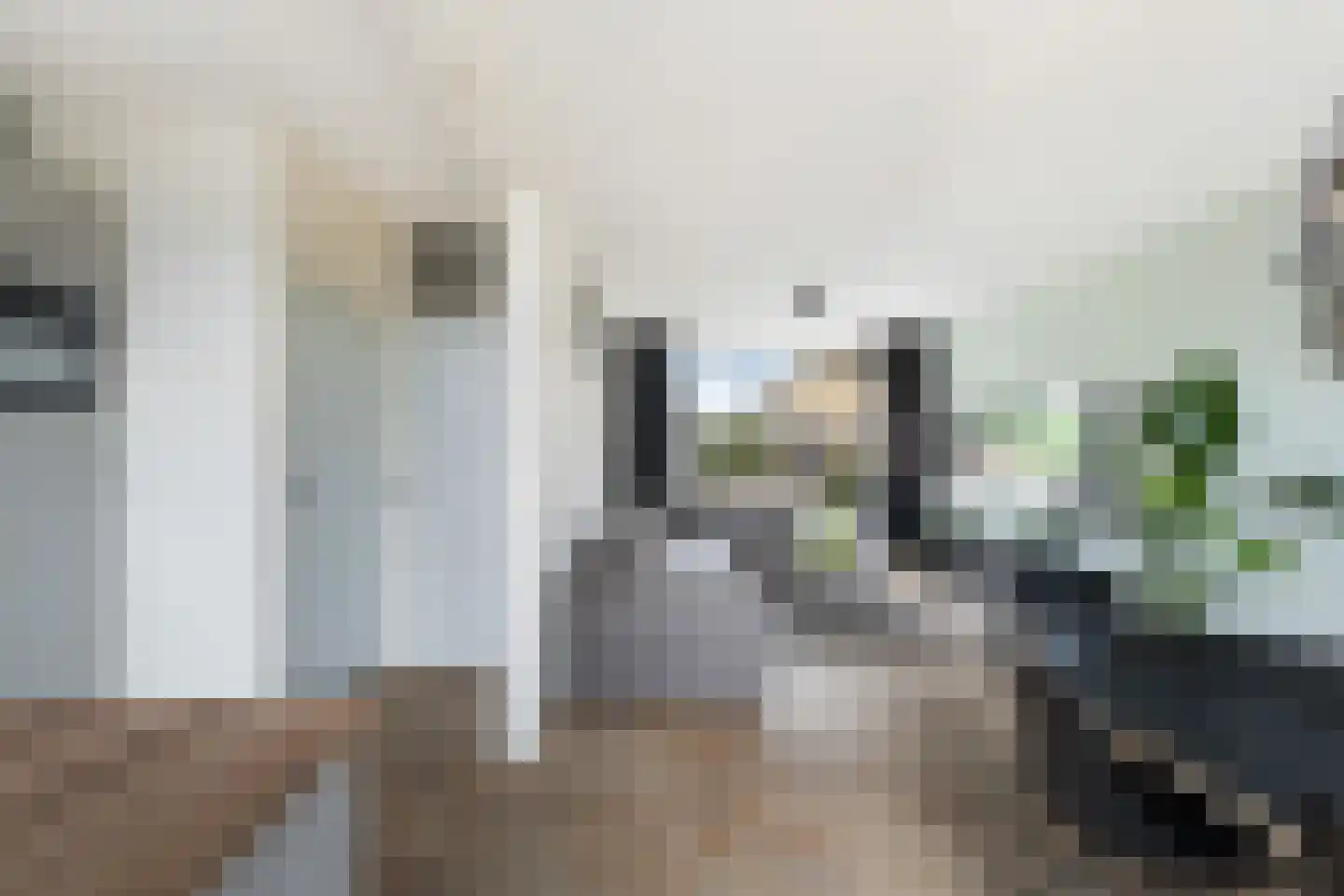 De Wieken 90 Zevenbergschen Hoek thumbnail 9