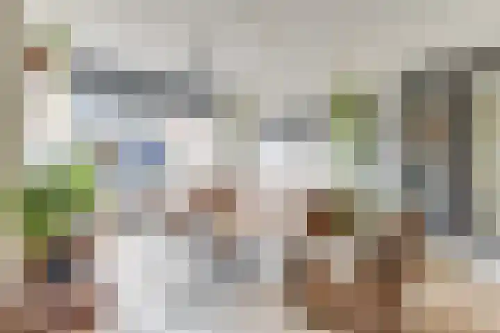 De Wieken 96 Hoorn thumbnail 10