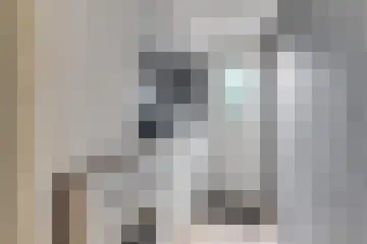 De Wieken 96 Hoorn thumbnail 18