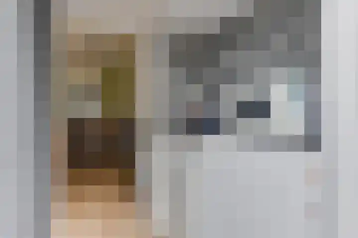 De Wieken 96 Hoorn thumbnail 19