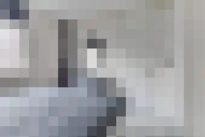 De Wieken 96 Hoorn thumbnail 22