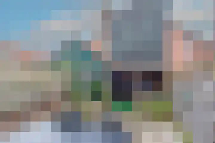 De Wieken 96 Hoorn thumbnail 28
