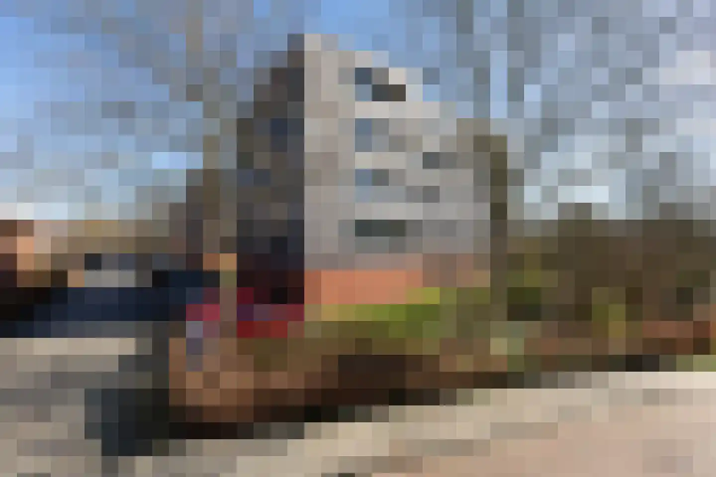 De Wiekslag 3 103 Sneek