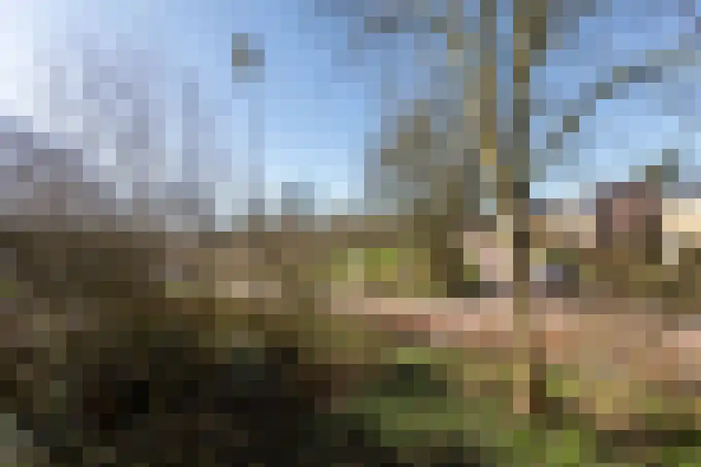 De Wiekslag 3 103 Sneek thumbnail 16