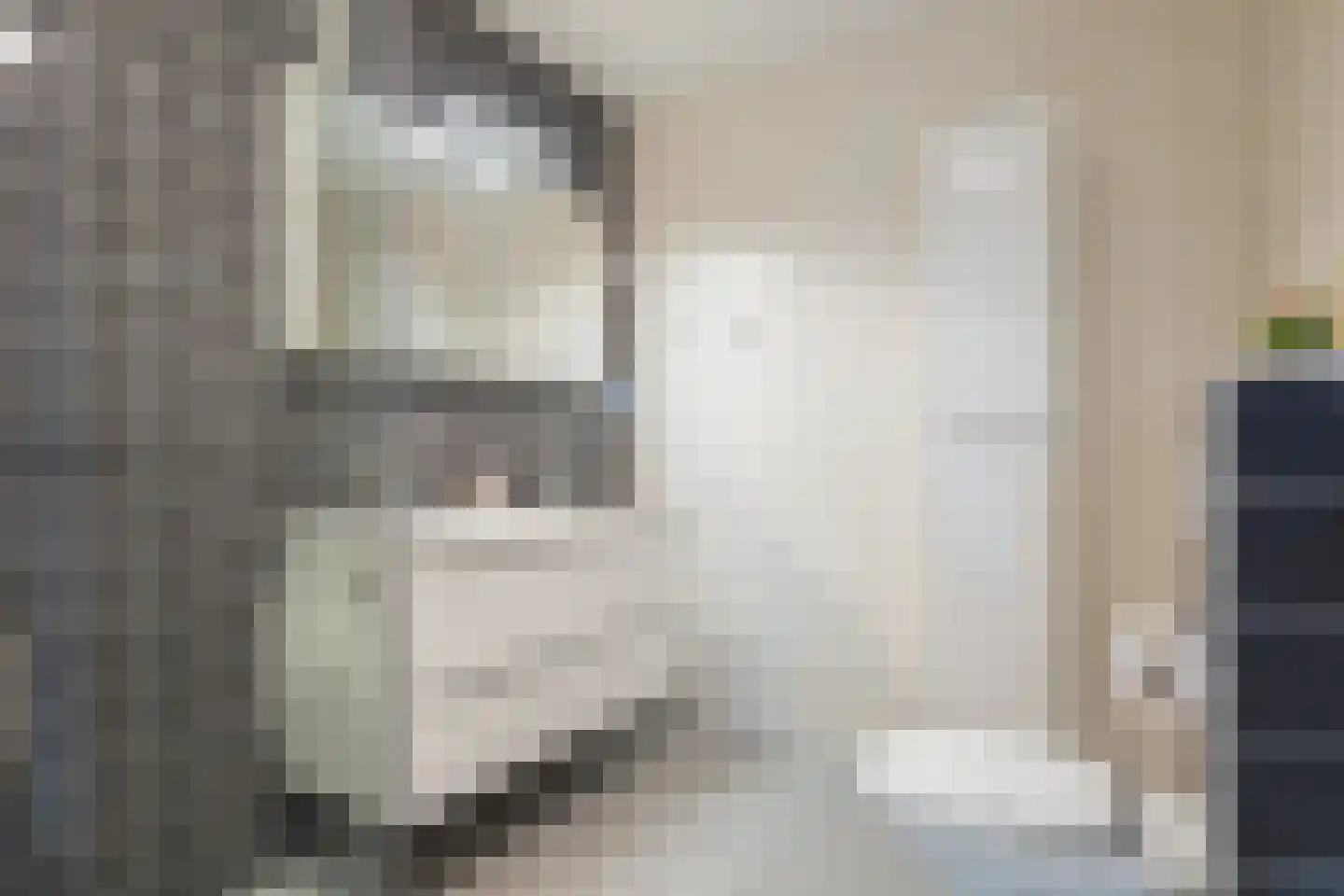De Wiekslag 3 103 Sneek thumbnail 28