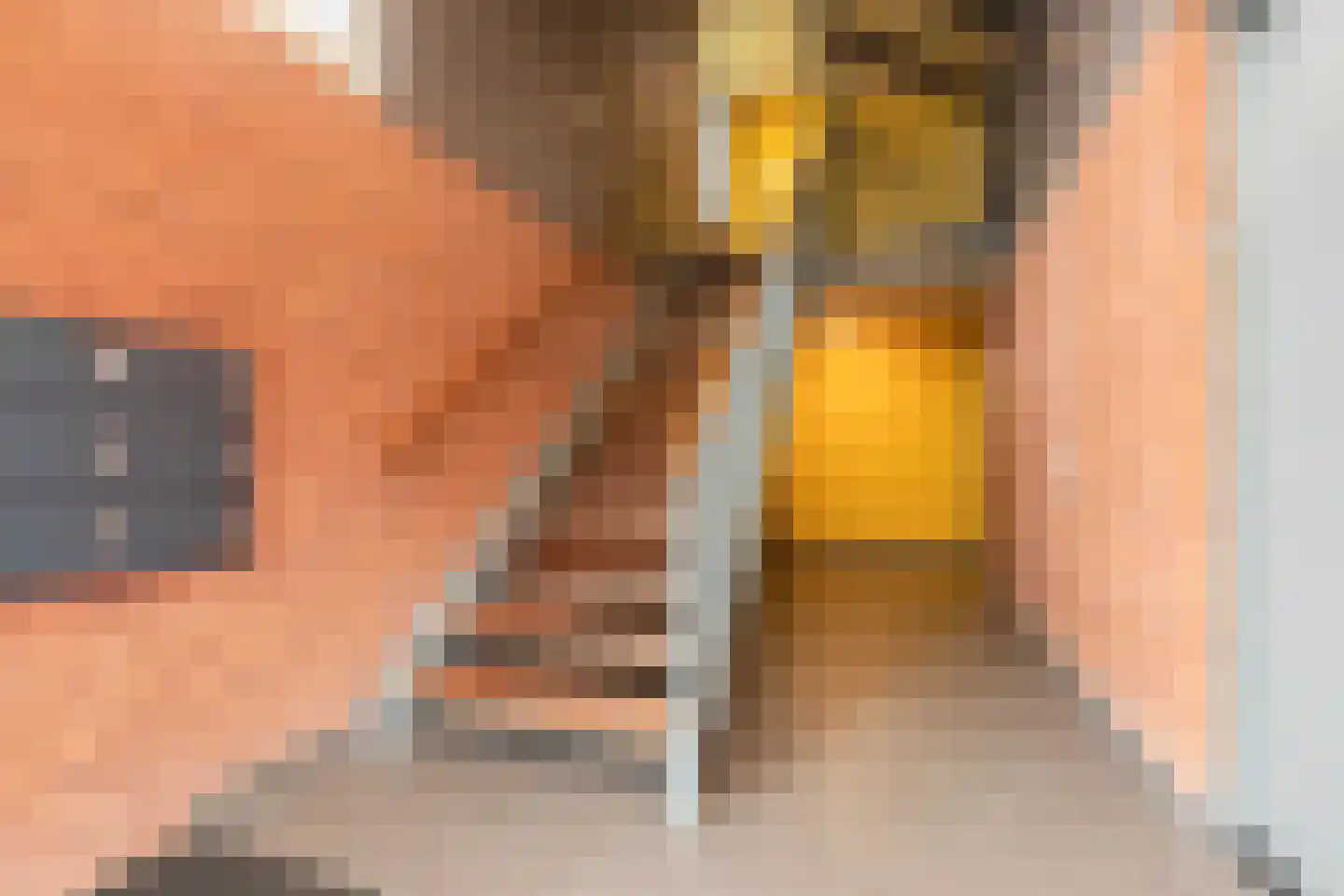 De Wiekslag 3 103 Sneek thumbnail 33