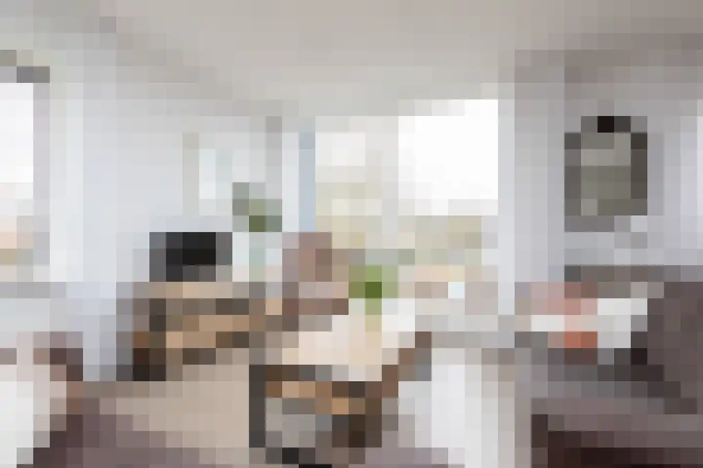De Wiekslag 3 103 Sneek thumbnail 5