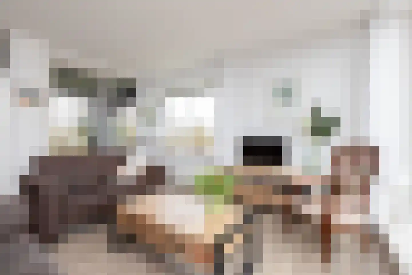 De Wiekslag 3 103 Sneek thumbnail 7