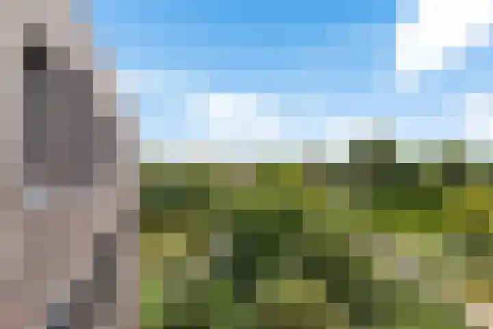 De Wiekslag 3 403 Sneek thumbnail 14