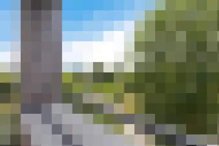 De Wiekslag 3 403 Sneek thumbnail 15