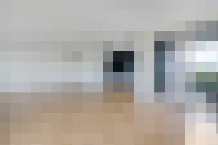 De Wiekslag 3 403 Sneek thumbnail 17
