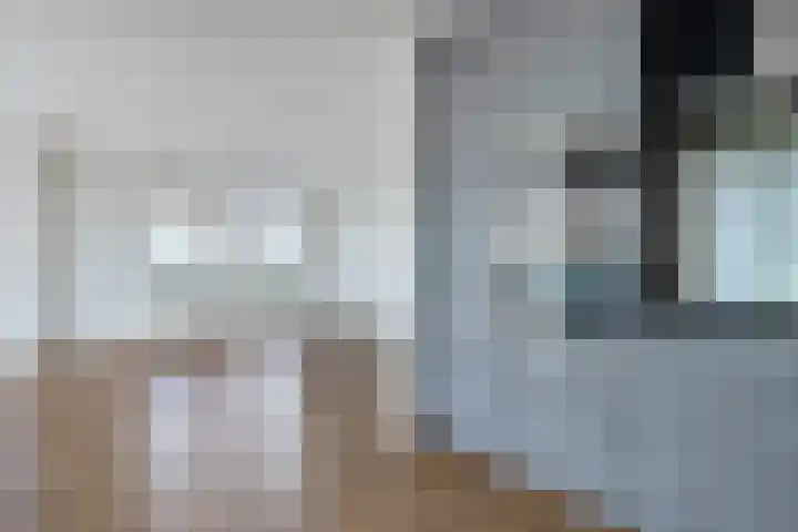 De Wiekslag 3 403 Sneek thumbnail 20