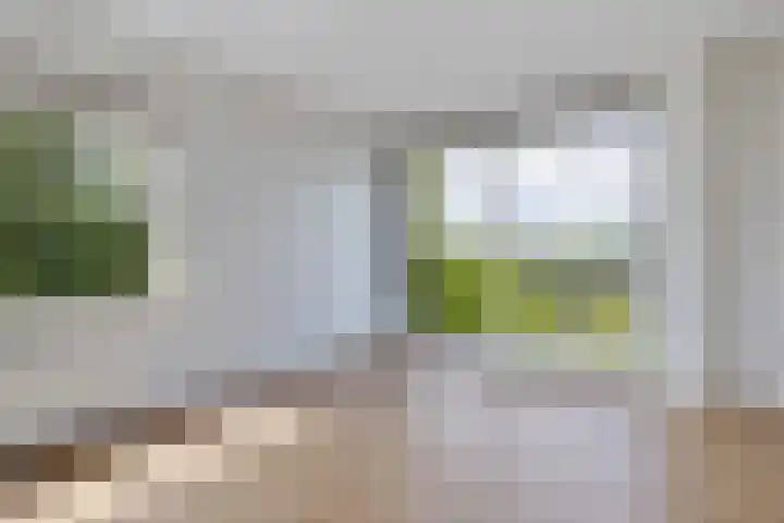 De Wiekslag 3 403 Sneek thumbnail 23