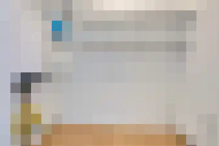 De Wiekslag 3 403 Sneek thumbnail 26