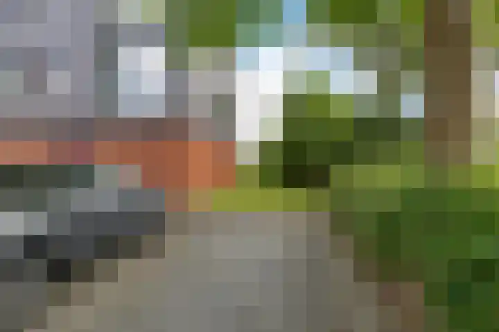 De Wiekslag 3 403 Sneek thumbnail 30