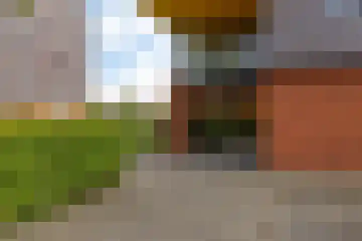 De Wiekslag 3 403 Sneek thumbnail 31