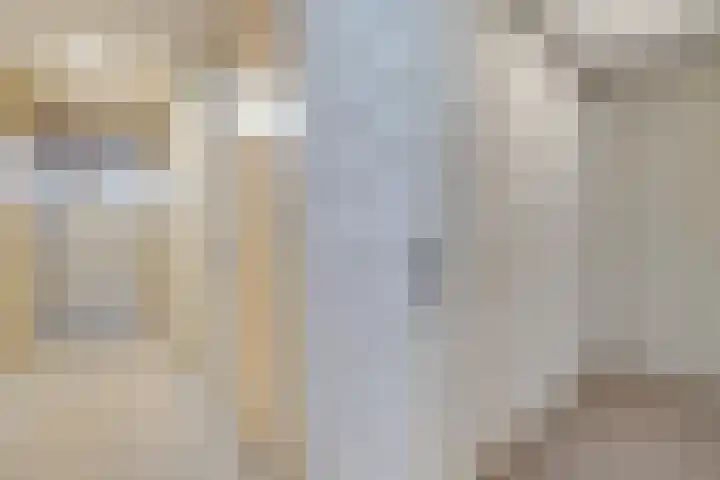 De Wiekslag 3 403 Sneek thumbnail 32