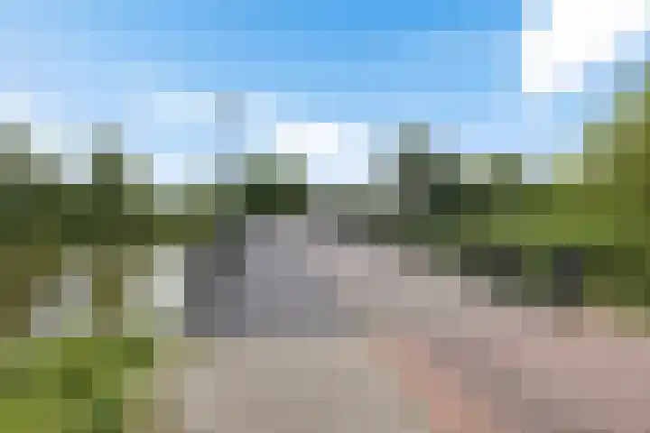 De Wiekslag 3 403 Sneek thumbnail 35