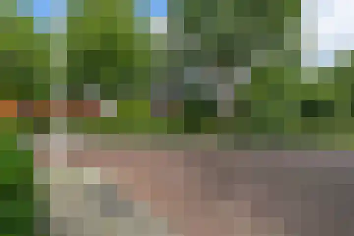 De Wiekslag 3 403 Sneek thumbnail 38
