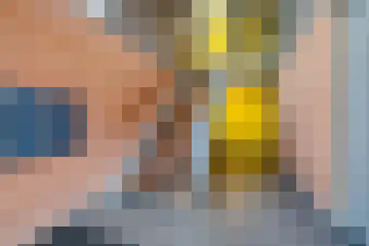 De Wiekslag 3 403 Sneek thumbnail 4