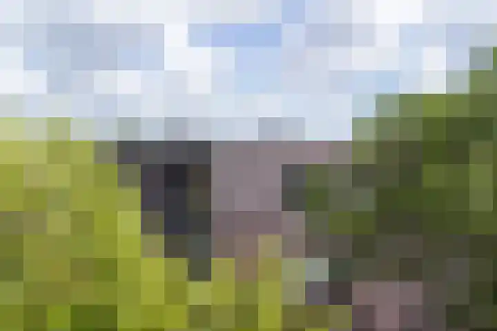 De Wiekslag 3 403 Sneek thumbnail 40