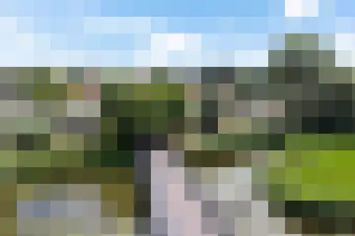 De Wiekslag 3 403 Sneek thumbnail 42